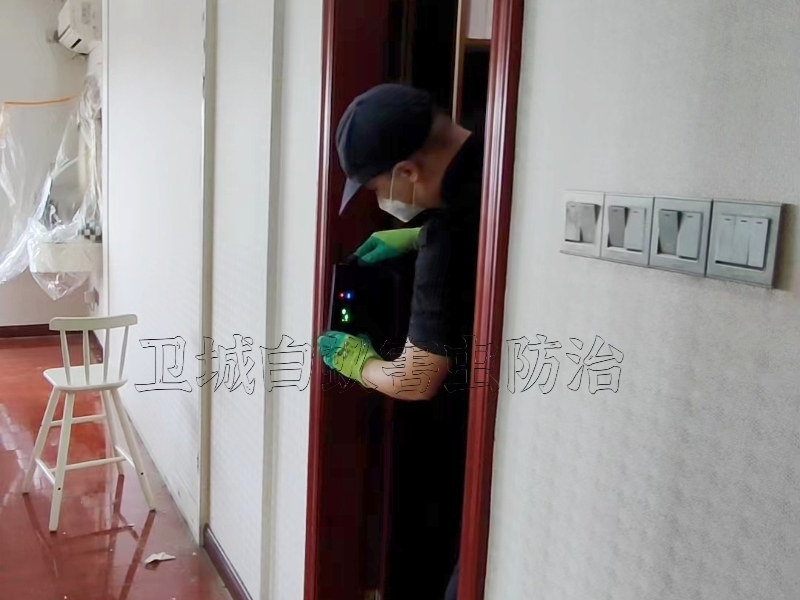 平潭白蟻防治-滅除白蟻-消殺白蟻中心專注蟲害服務一次見效